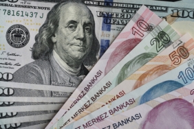 Dolar/TL 49,18 Seviyesine Ulaşarak Yeni Bir Zirve Kaydetti